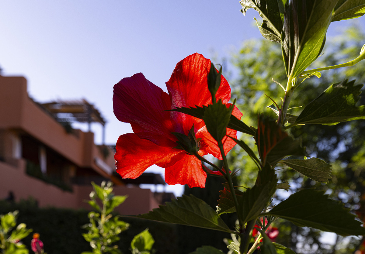 2 Bed Apartment for sale in Casares Costa Del Sol, Málaga, Spain
