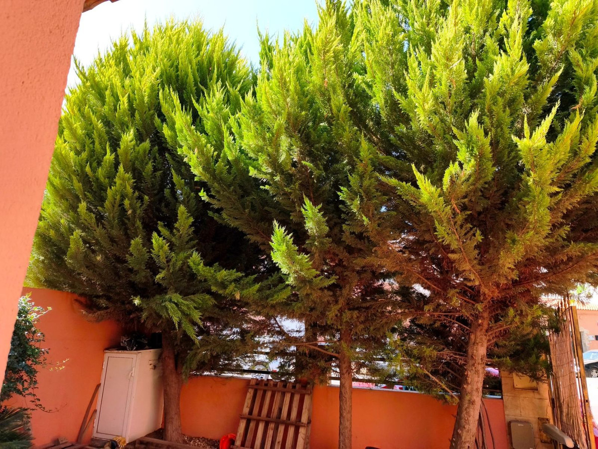Se vende Pareada de 3 dormitorios en Costa Calida, Murcia, España
