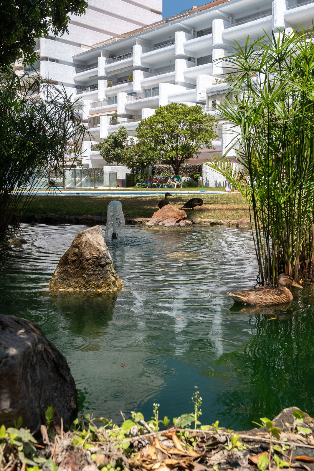 1 Bed Apartment for sale in The Golden Mile Costa Del Sol, Málaga, Spain