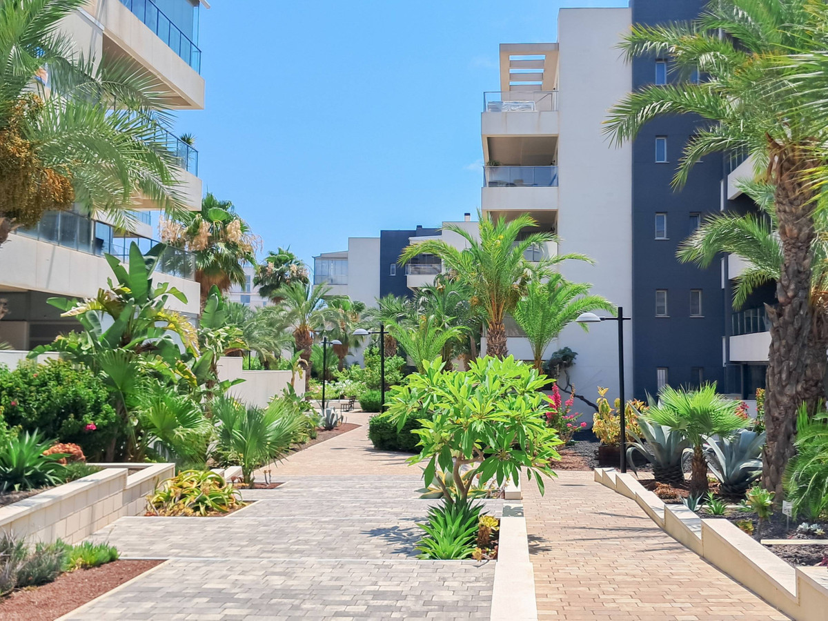 Se vende Apartamento Planta Baja de 3 dormitorios en Costa Blanca, Alicante, España