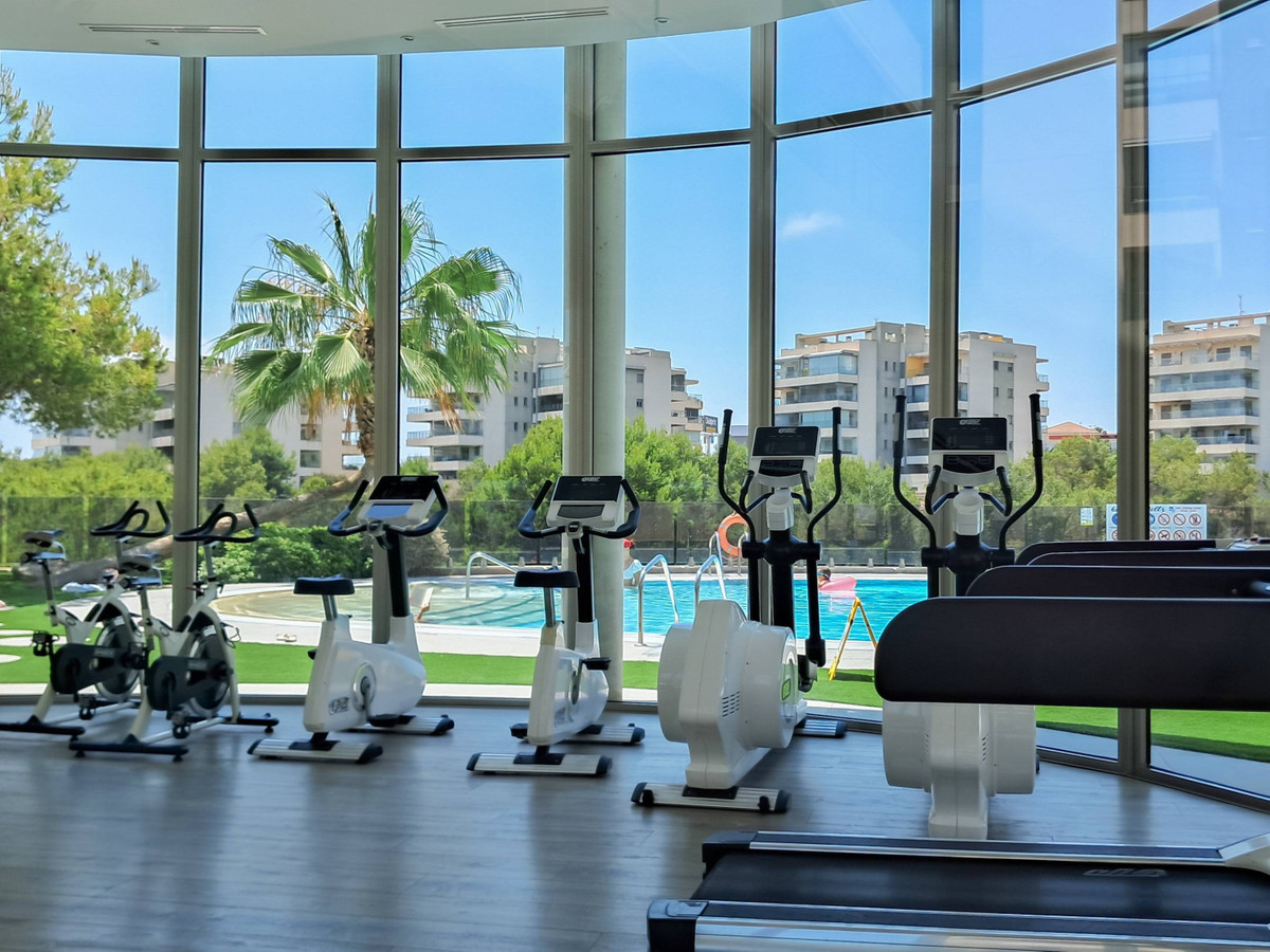 Se vende Apartamento Planta Baja de 3 dormitorios en Costa Blanca, Alicante, España