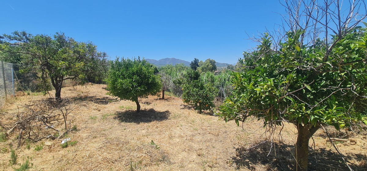 Plots for sale in Alhaurín El Grande Costa Del Sol, Málaga, Spain
