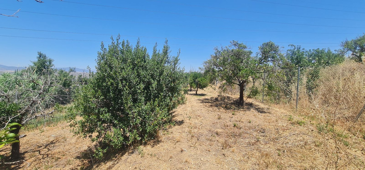 Plots for sale in Alhaurín El Grande Costa Del Sol, Málaga, Spain