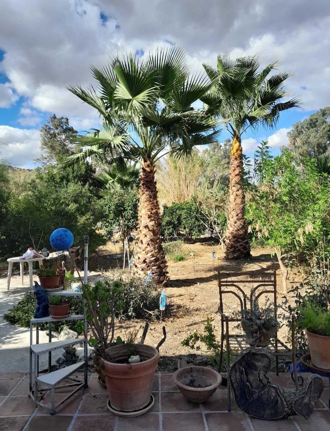 Se vende Finca - Cortijo de 4 dormitorios en Costa Del Sol, Málaga, España
