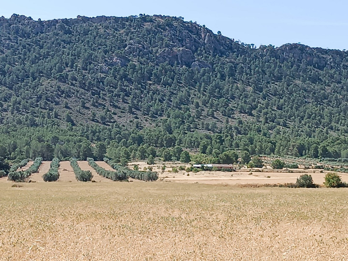 Se vende Finca - Cortijo de 3 dormitorios en Costa Calida, Murcia, España