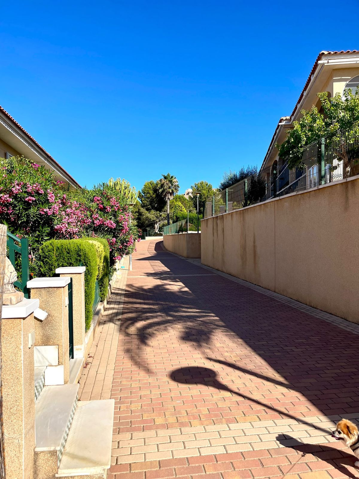 2 Bed Apartment for sale in Gran Alacant Costa Blanca, Alicante, Spain