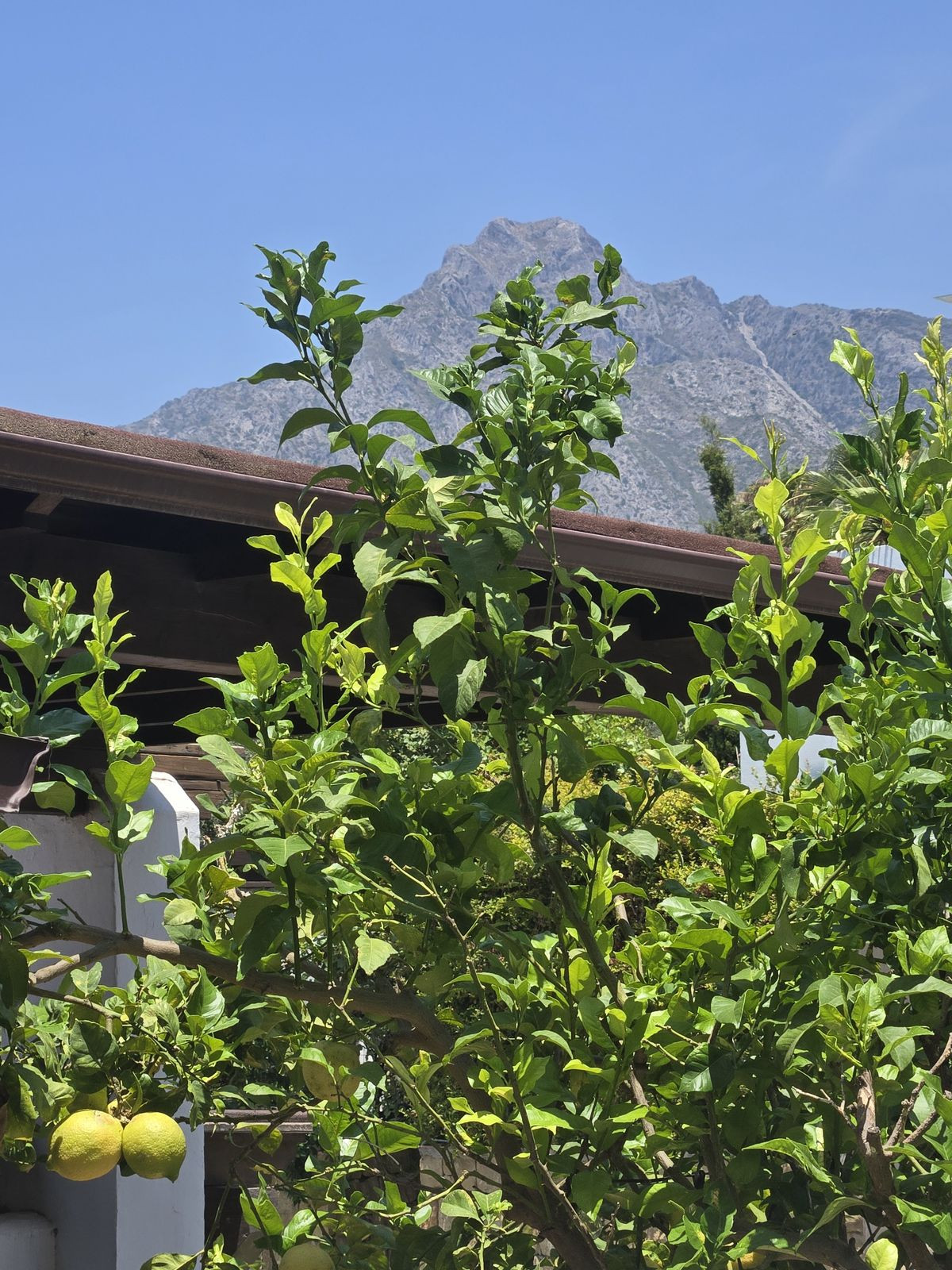 5 Bed Townhouse for sale in The Golden Mile Costa Del Sol, Málaga, Spain
