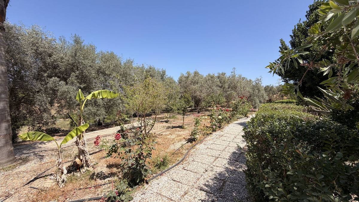 3 Bed Townhouse for sale in Alhaurín El Grande Costa Del Sol, Málaga, Spain