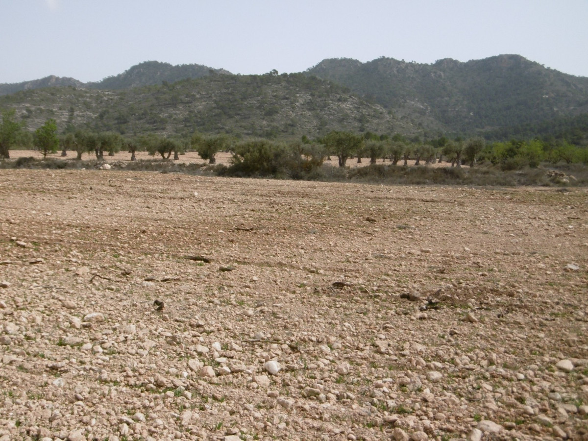 Se vende Terreno Rustico  en Costa Calida, Murcia, España
