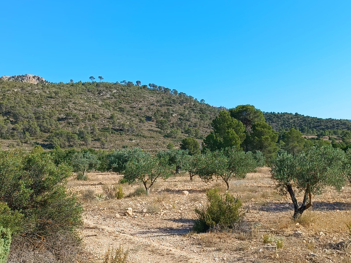 Plots for sale in Yecla Costa Calida, Murcia, Spain