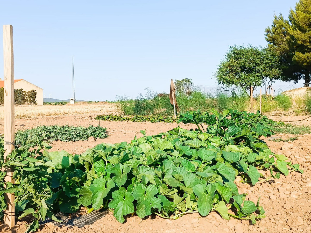 Se vende Finca - Cortijo de 3 dormitorios en Costa Calida, Murcia, España