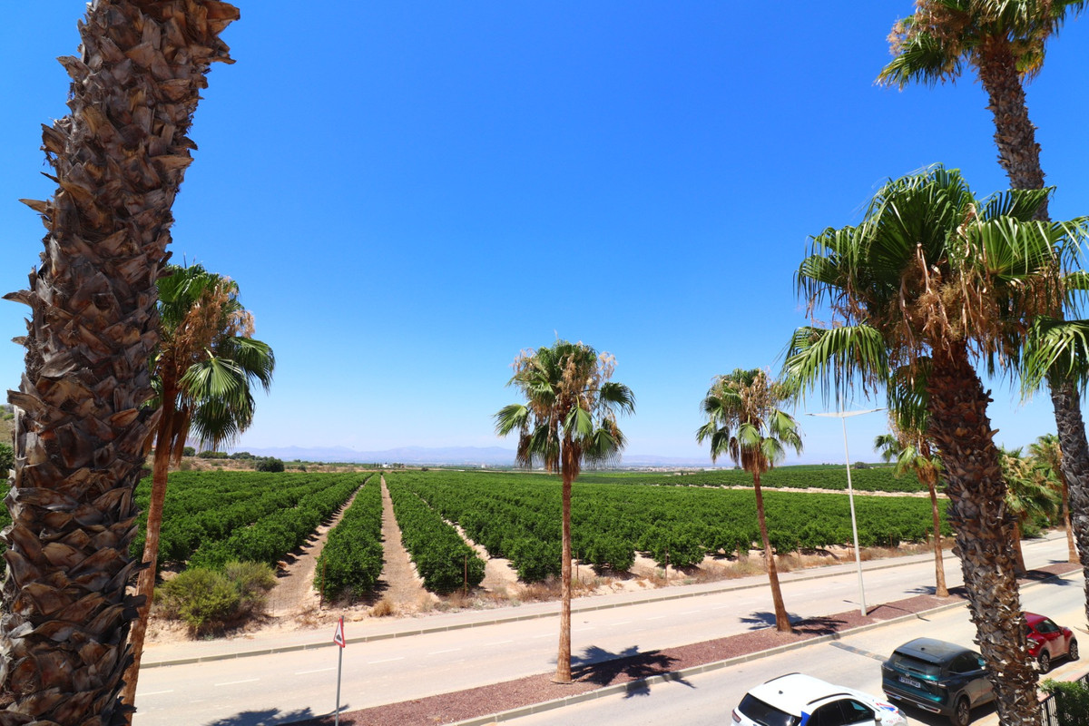 3 Bed Townhouse for sale in Algorfa Costa Blanca, Alicante, Spain
