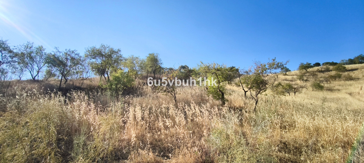 Se vende Terreno Rustico  en Costa Del Sol, Málaga, España