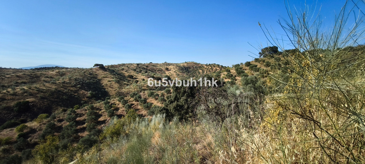 Se vende Terreno Rustico  en Costa Del Sol, Málaga, España