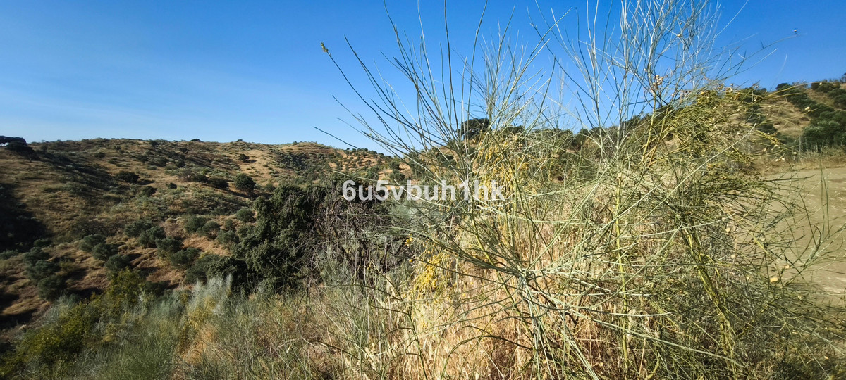 Se vende Terreno Rustico  en Costa Del Sol, Málaga, España