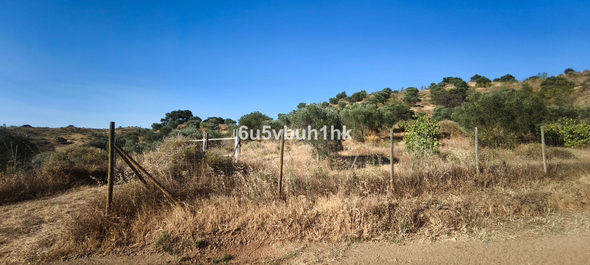 Se vende Terreno Rustico  en Costa Del Sol, Málaga, España