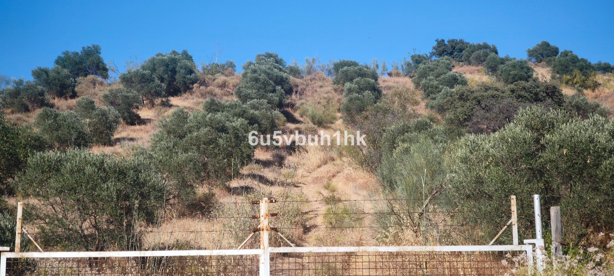 Se vende Terreno Rustico  en Costa Del Sol, Málaga, España