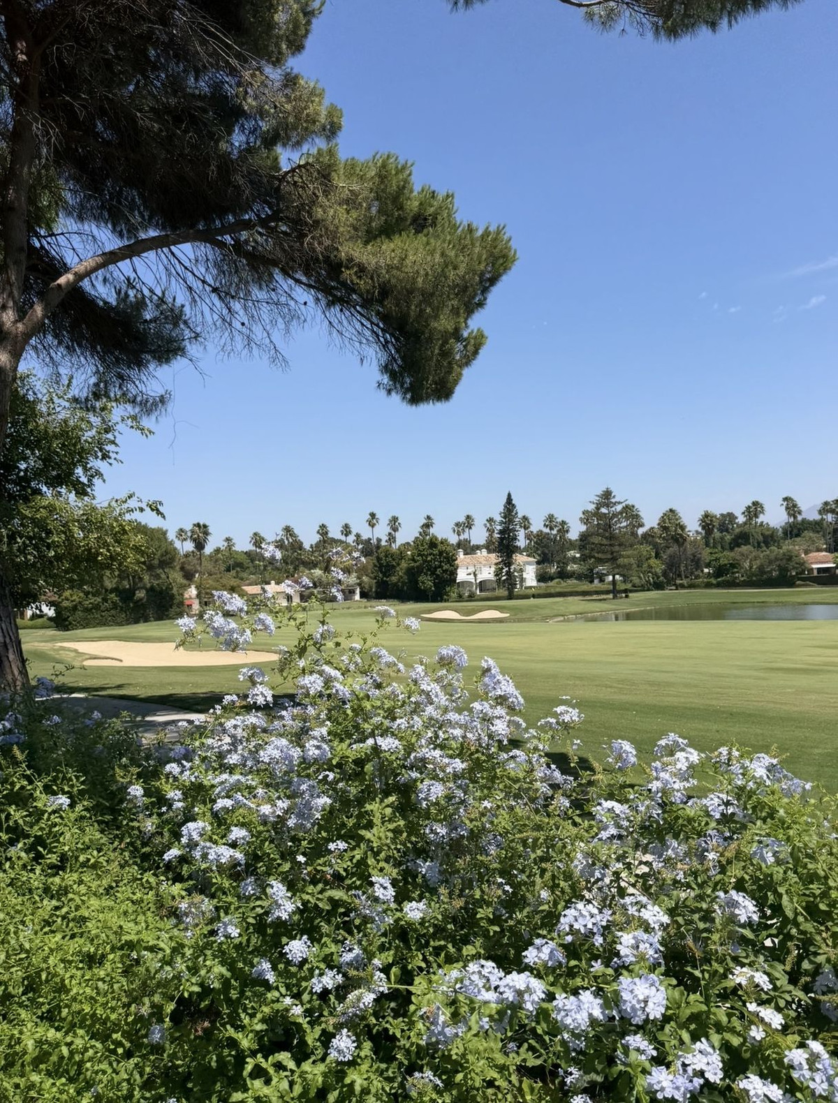 5 Bed Townhouse for sale in Sotogrande Costa Costa Del Sol, Cádiz, Spain