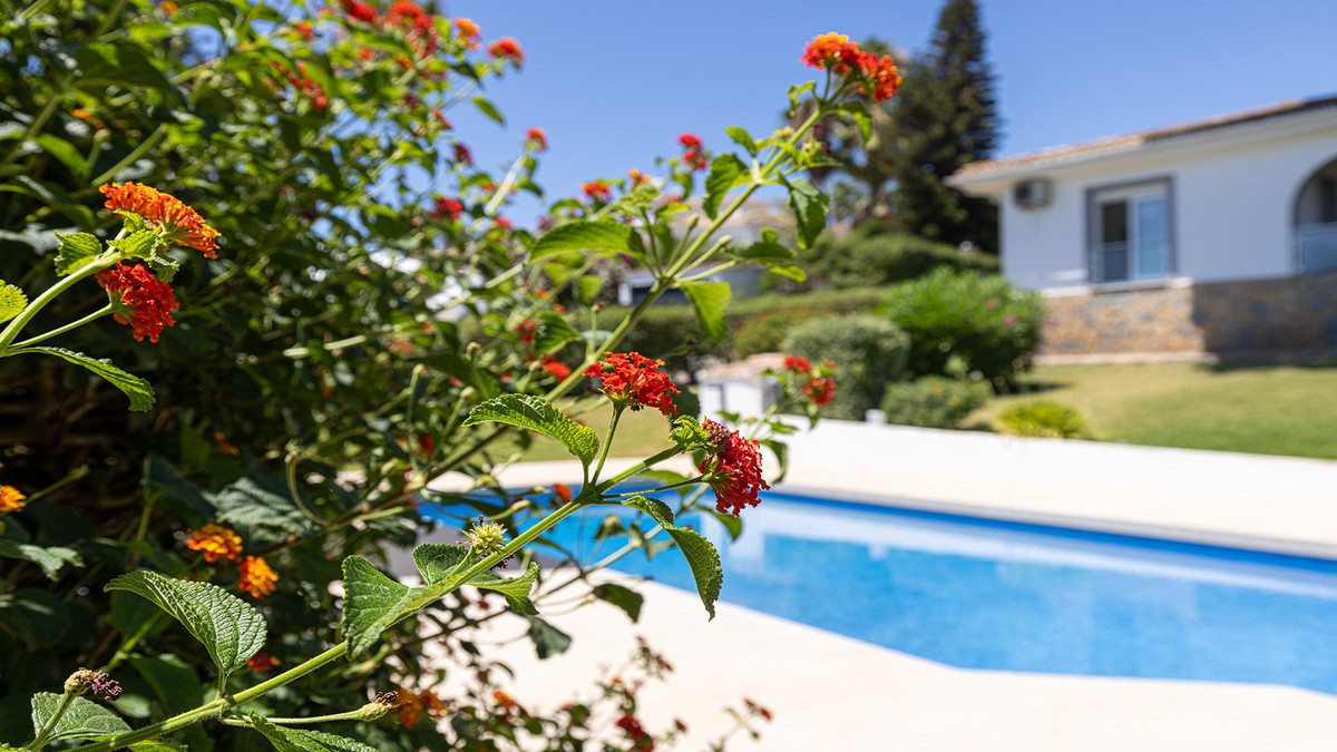 4 Bed Townhouse for sale in Manilva Costa Del Sol, Málaga, Spain