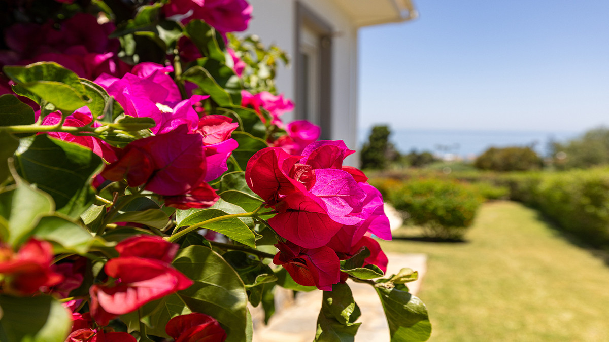 4 Bed Townhouse for sale in Manilva Costa Del Sol, Málaga, Spain