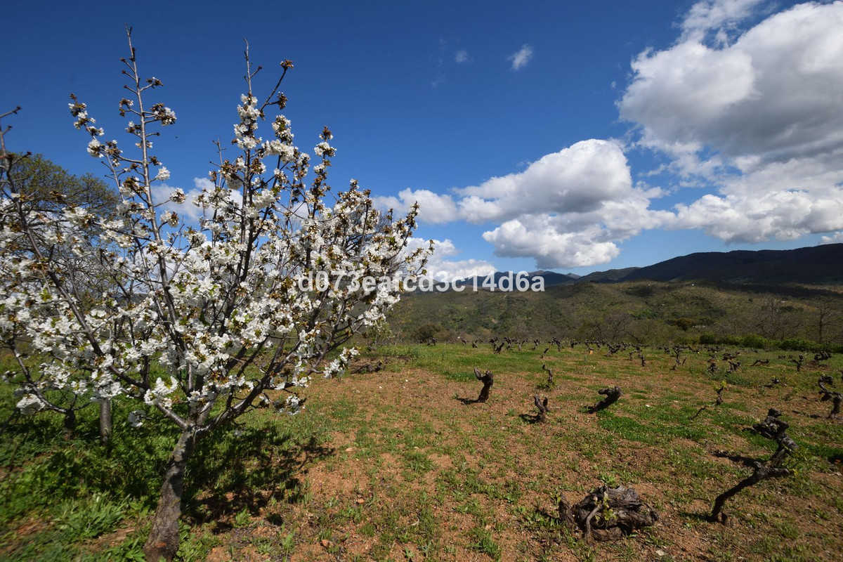 Se vende Finca - Cortijo de 2 dormitorios en Costa Del Sol, Málaga, España