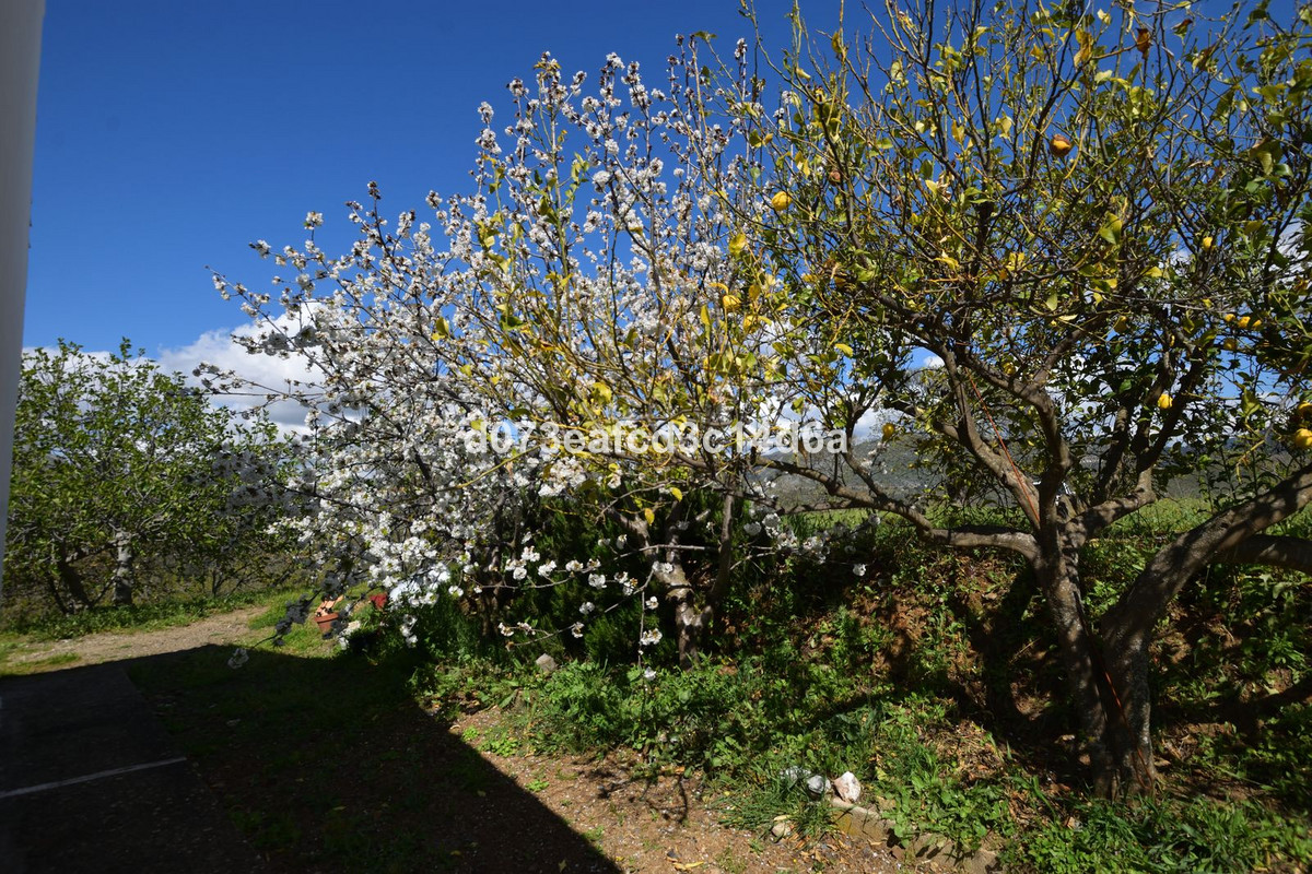 Se vende Finca - Cortijo de 2 dormitorios en Costa Del Sol, Málaga, España