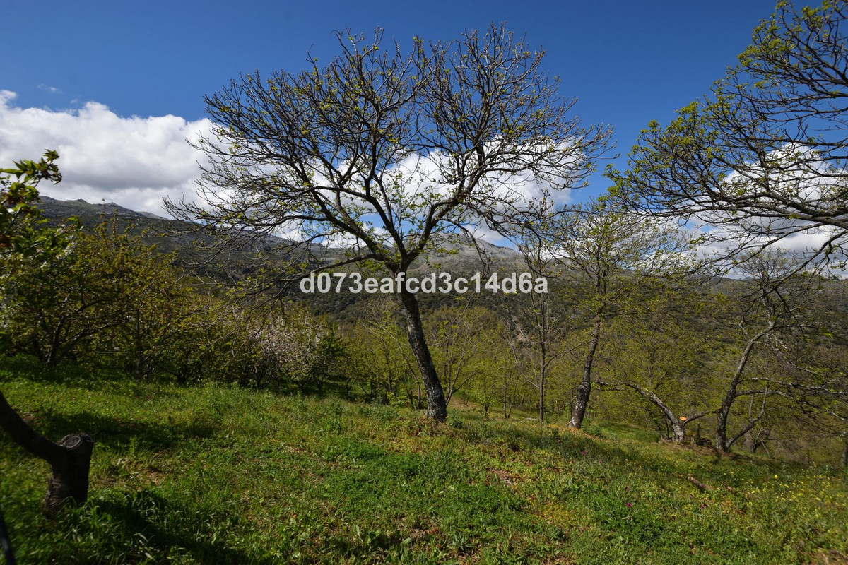 Se vende Finca - Cortijo de 2 dormitorios en Costa Del Sol, Málaga, España