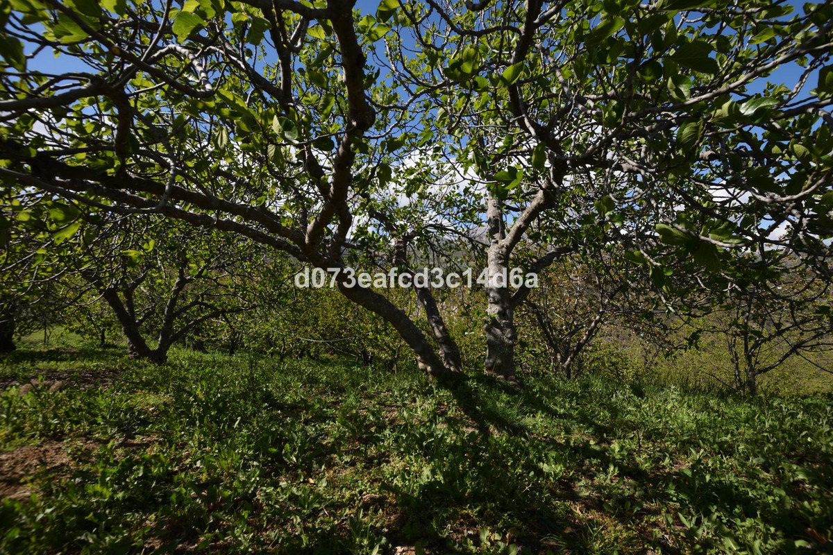 Se vende Finca - Cortijo de 2 dormitorios en Costa Del Sol, Málaga, España