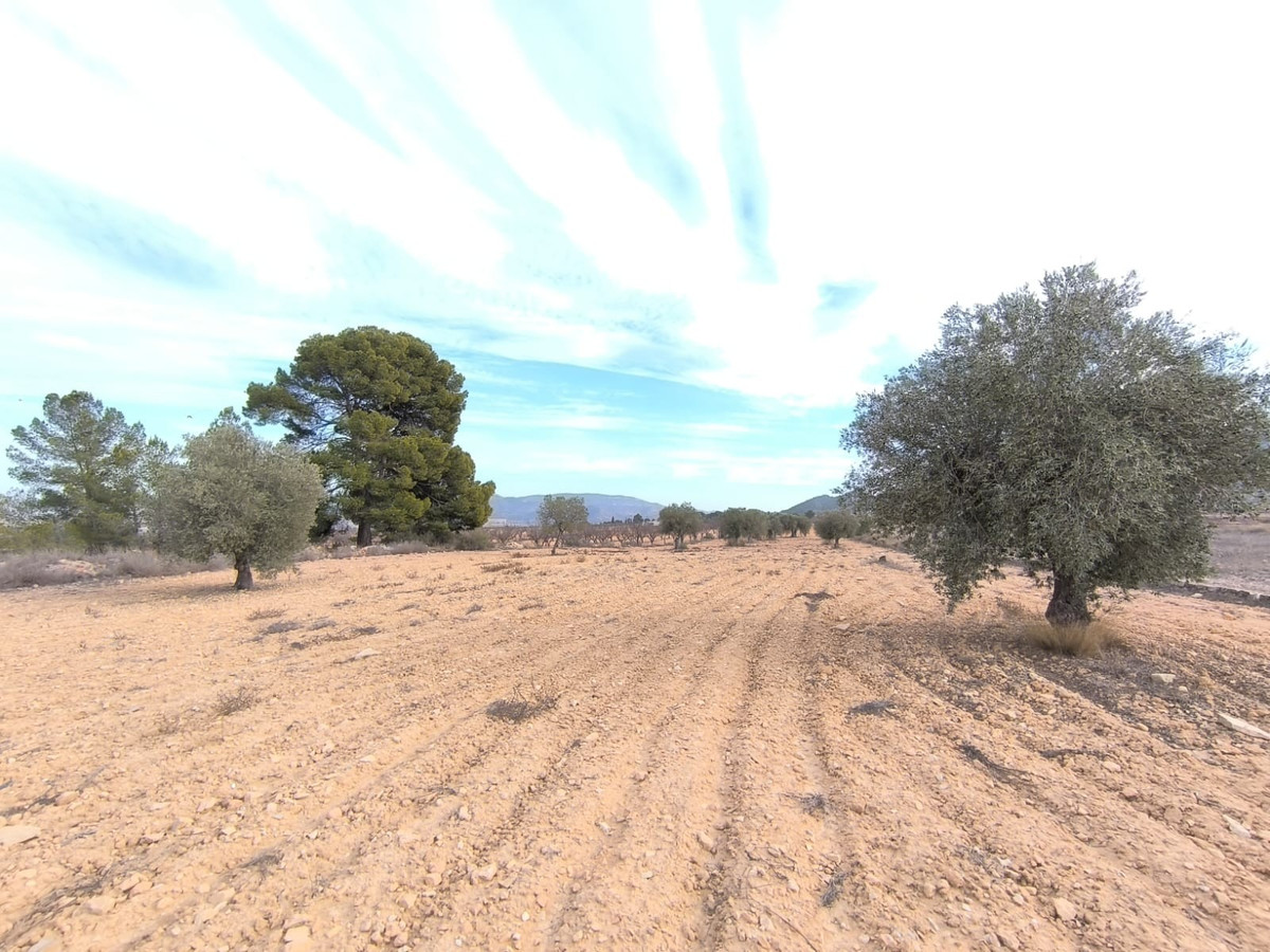 3 Bed Townhouse for sale in Monóvar Costa Blanca, Alicante, Spain