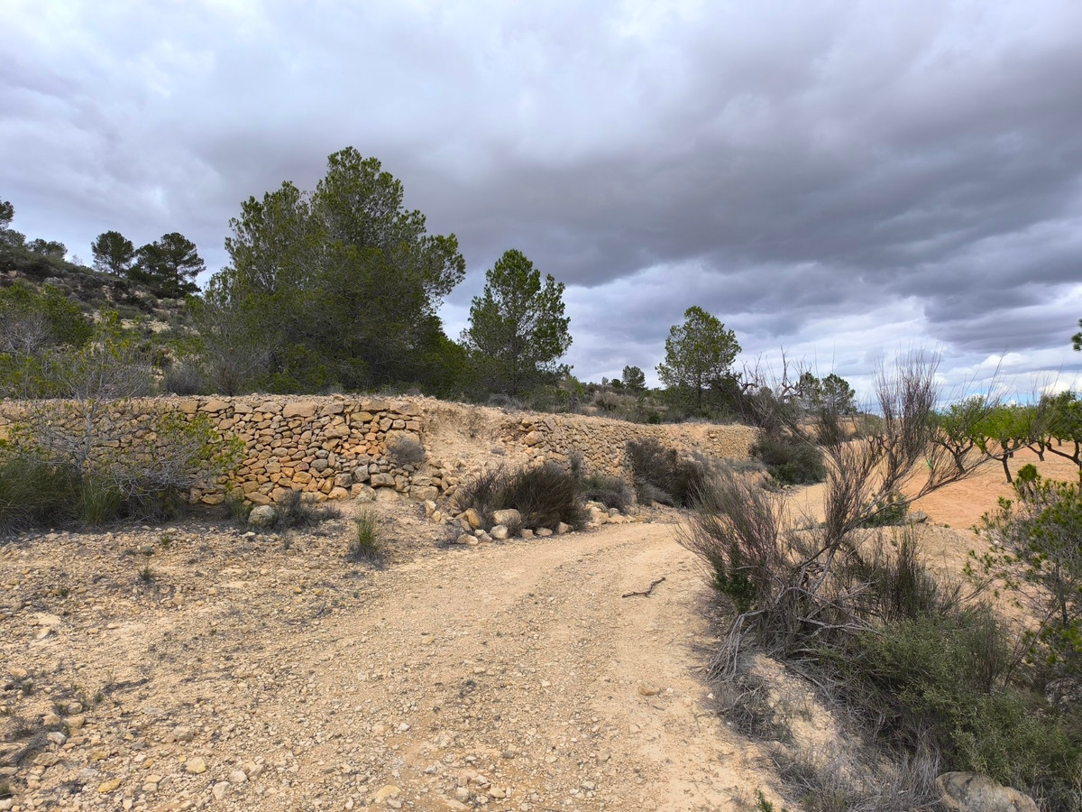 Plots for sale in Pinoso Costa Blanca, Alicante, Spain