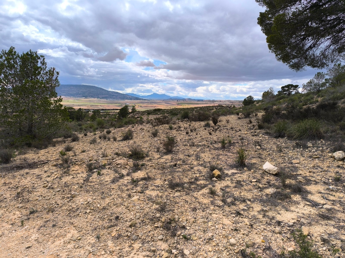 Plots for sale in Pinoso Costa Blanca, Alicante, Spain