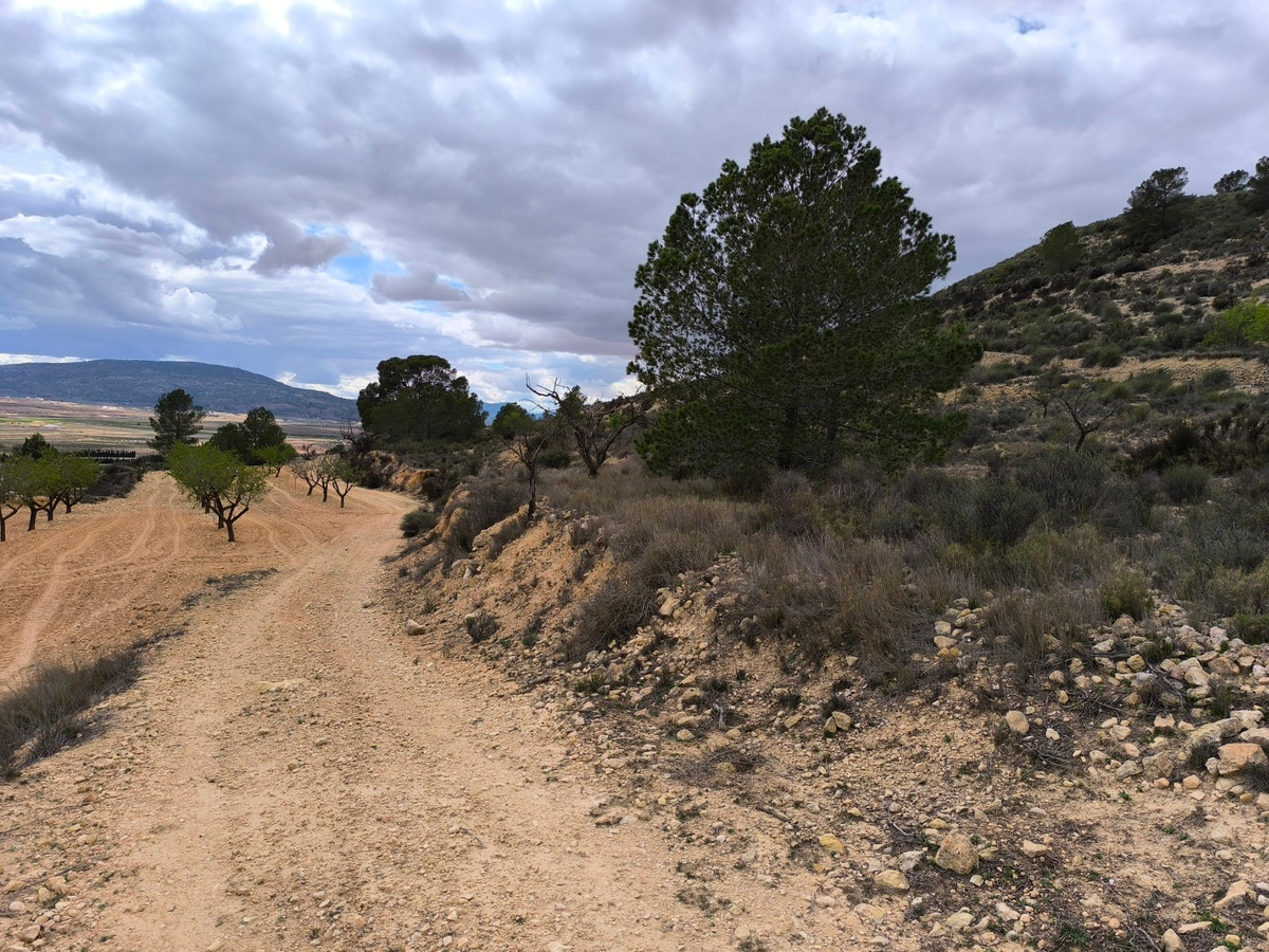 Plots for sale in Pinoso Costa Blanca, Alicante, Spain