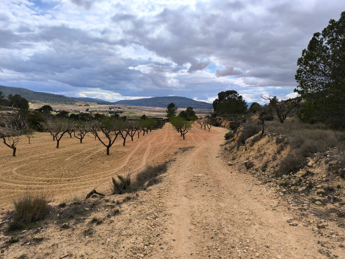 Plots for sale in Pinoso Costa Blanca, Alicante, Spain