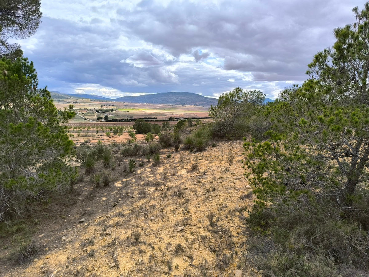 Plots for sale in Pinoso Costa Blanca, Alicante, Spain