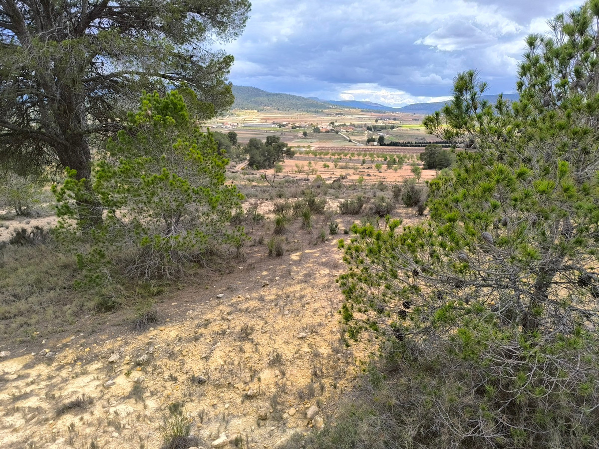 Plots for sale in Pinoso Costa Blanca, Alicante, Spain