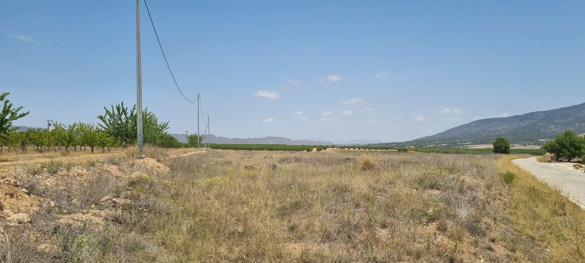 Se vende Terreno Rustico  en Costa Calida, Murcia, España