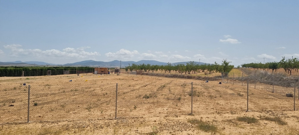 Se vende Terreno Rustico  en Costa Calida, Murcia, España
