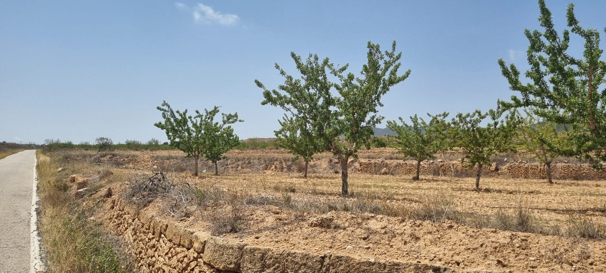Se vende Terreno Rustico  en Costa Calida, Murcia, España