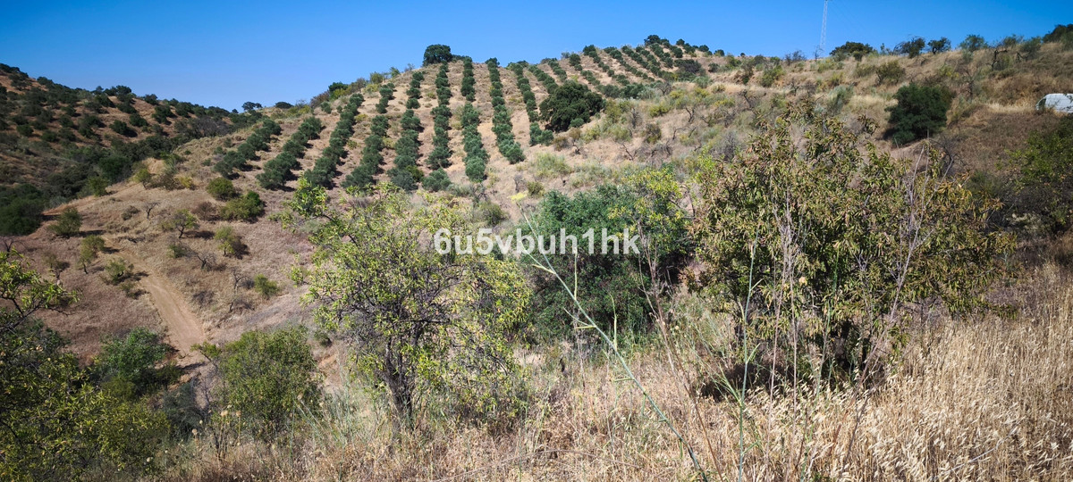 Plots for sale in Pizarra Costa Del Sol, Málaga, Spain