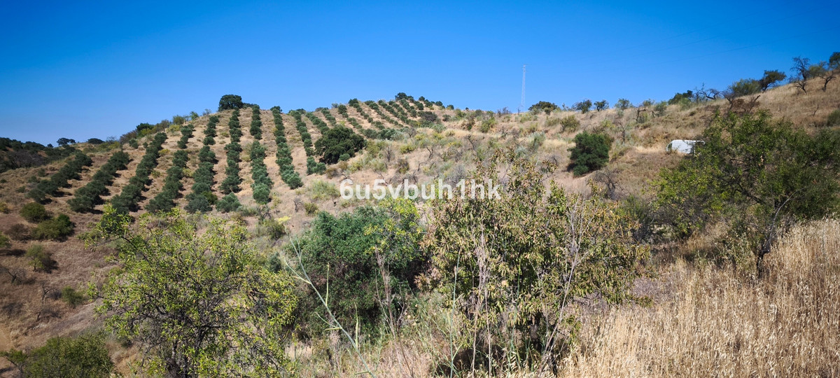 Plots for sale in Pizarra Costa Del Sol, Málaga, Spain