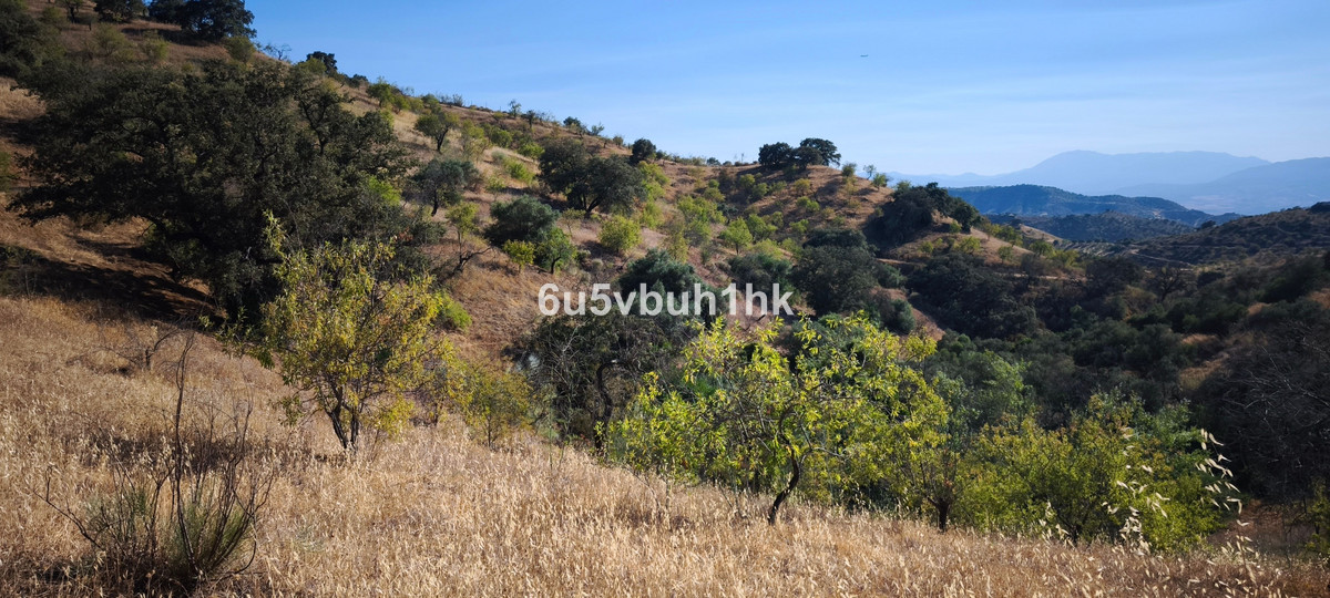 Plots for sale in Pizarra Costa Del Sol, Málaga, Spain