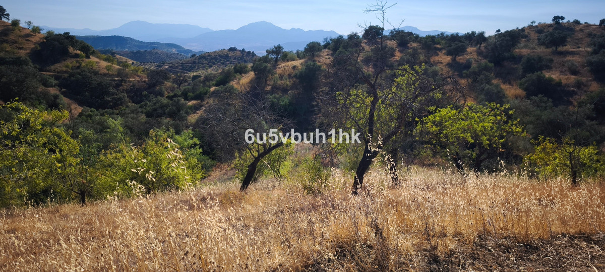 Plots for sale in Pizarra Costa Del Sol, Málaga, Spain
