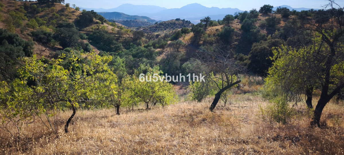 Plots for sale in Pizarra Costa Del Sol, Málaga, Spain