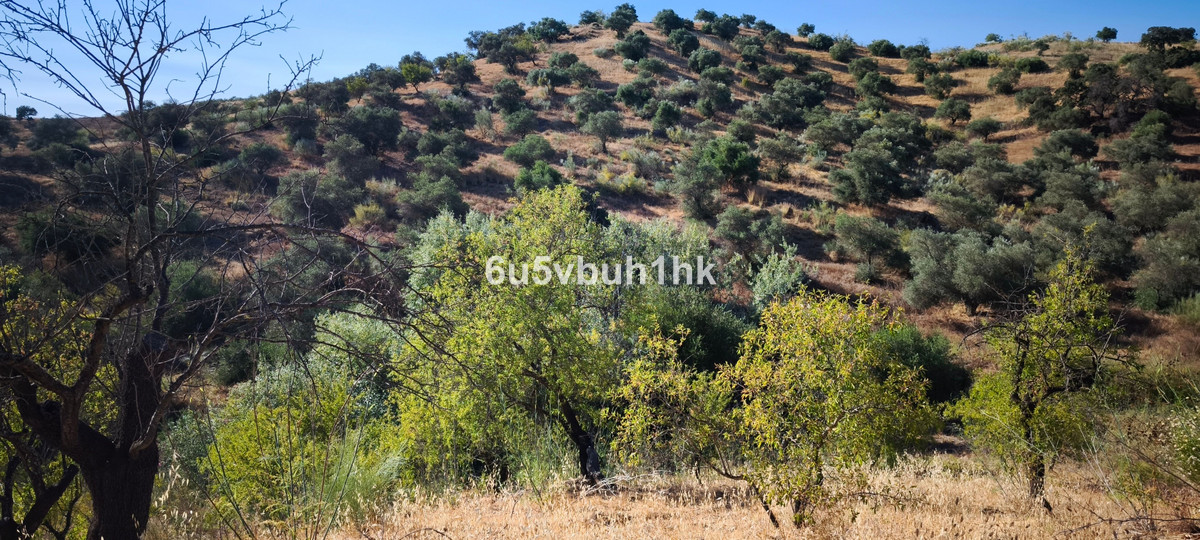 Plots for sale in Pizarra Costa Del Sol, Málaga, Spain