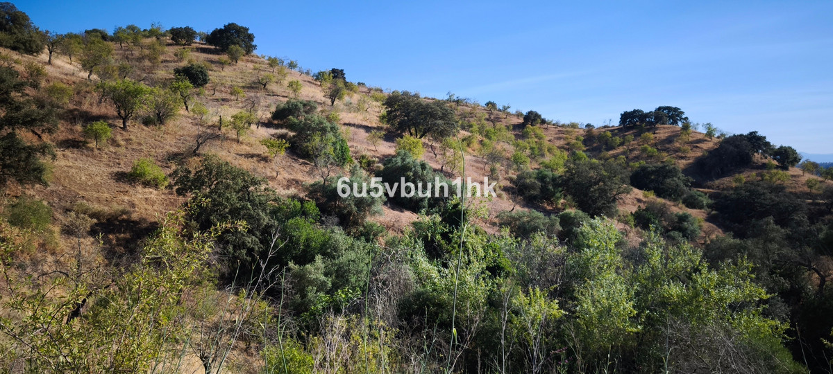 Plots for sale in Pizarra Costa Del Sol, Málaga, Spain