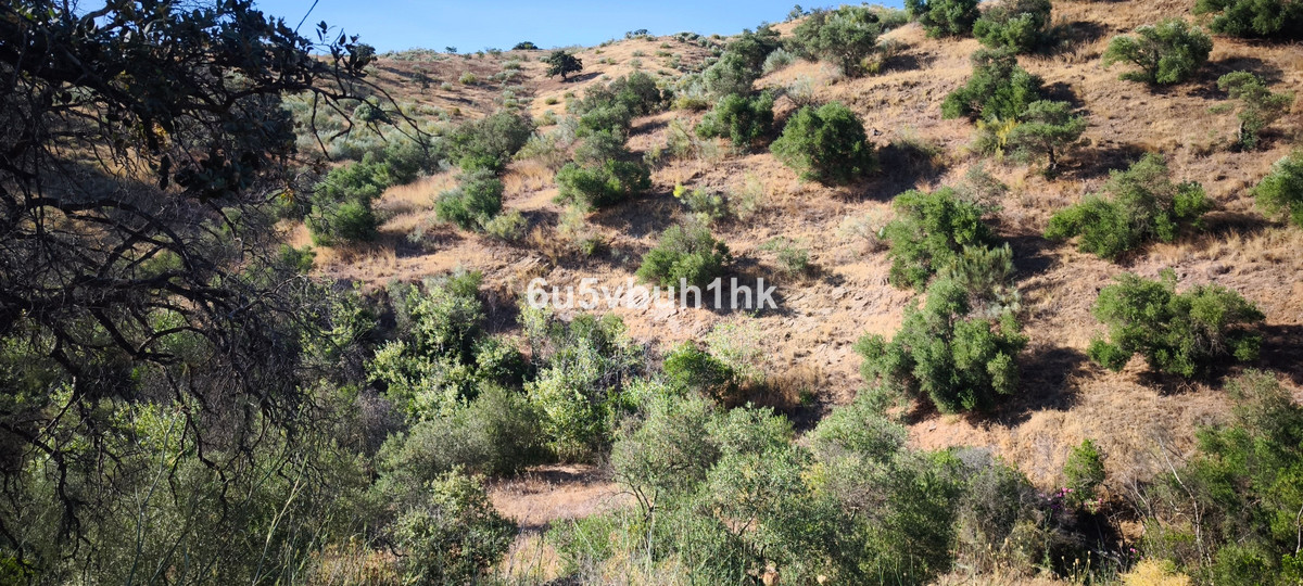 Plots for sale in Pizarra Costa Del Sol, Málaga, Spain