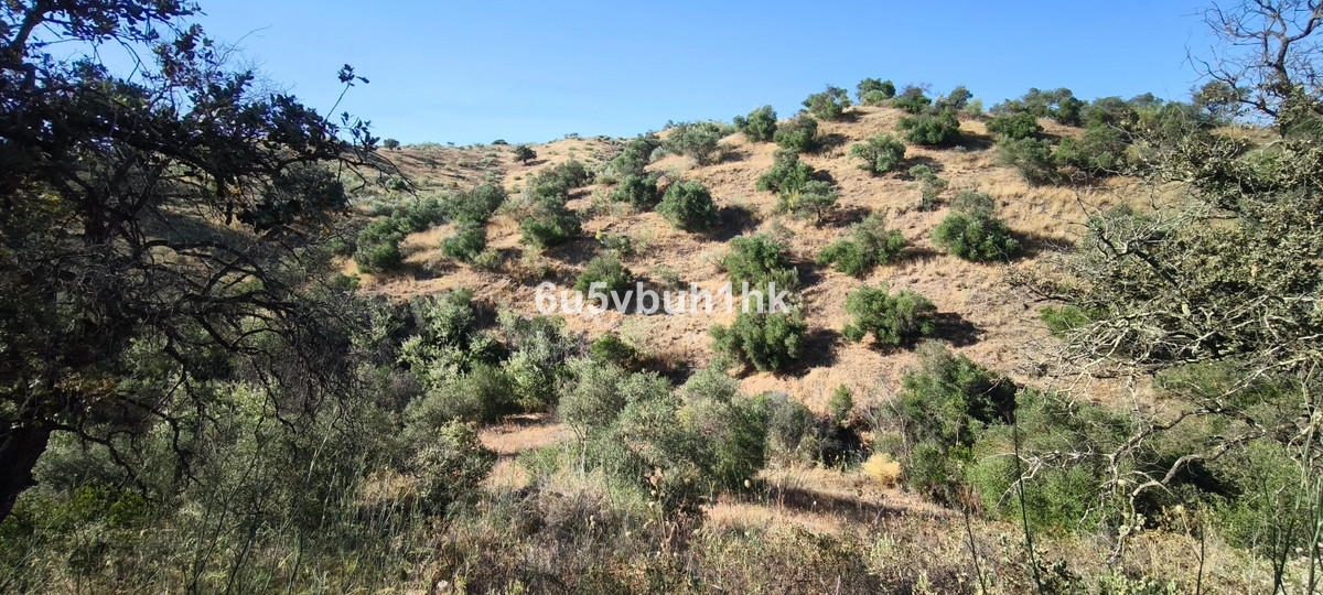 Plots for sale in Pizarra Costa Del Sol, Málaga, Spain