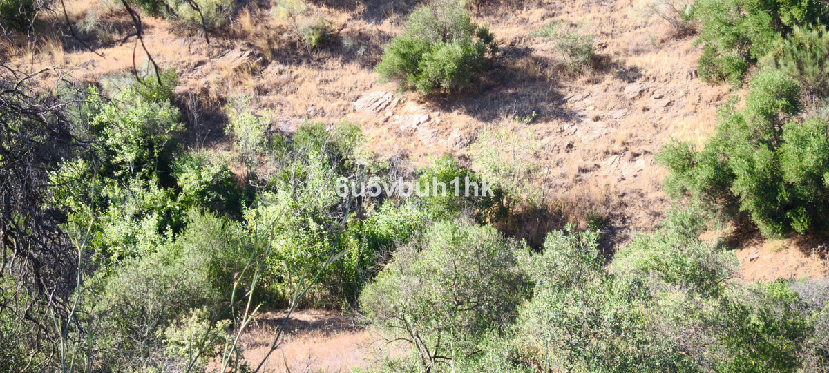 Plots for sale in Pizarra Costa Del Sol, Málaga, Spain