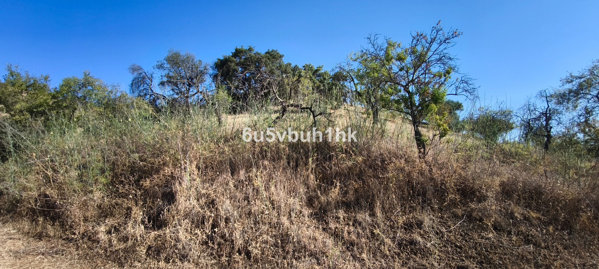 Plots for sale in Pizarra Costa Del Sol, Málaga, Spain