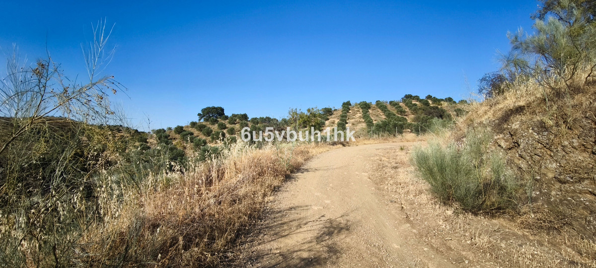 Plots for sale in Pizarra Costa Del Sol, Málaga, Spain